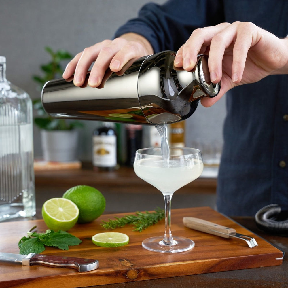 
                      
                        Viski Warren Parisian Cocktail Shaker - lily & onyx
                      
                    