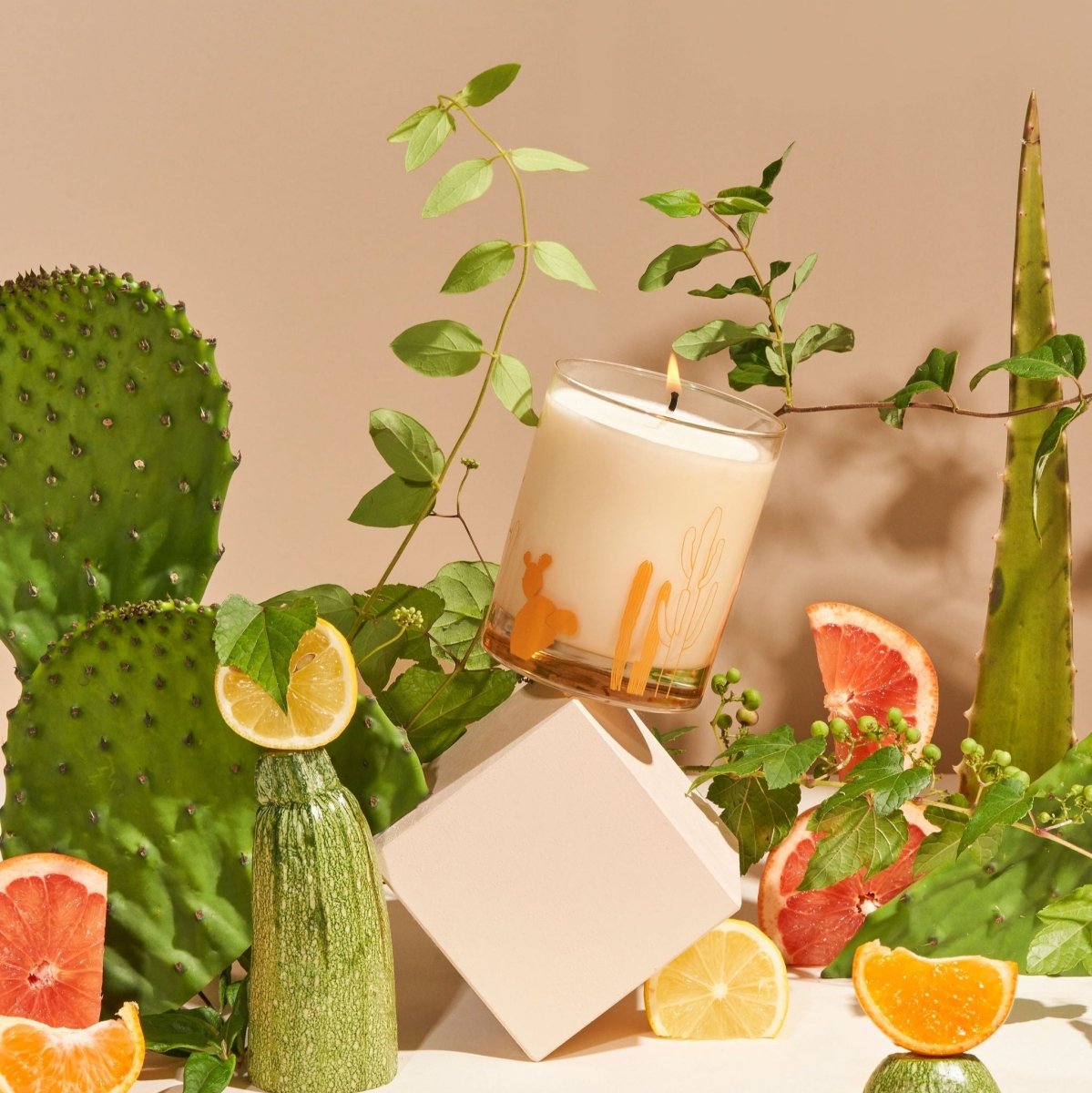 Wax Buffalo Cactus Soy Candle 12oz - Desert Botanical Scent | 55 - 65hr Burn