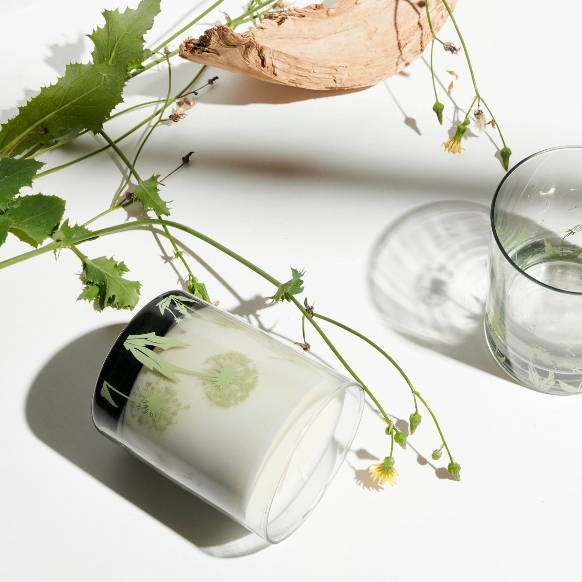 Wax Buffalo Teakwood Soy Candle - Amber Cedar Patchouli - 12oz Glass Vessel