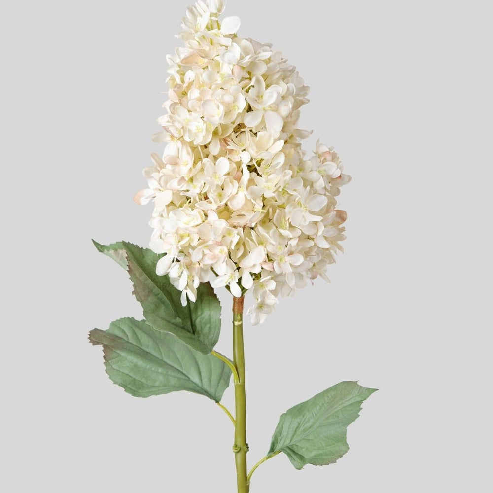 Large Faux Dried Cone Hydrangea in Parchment
