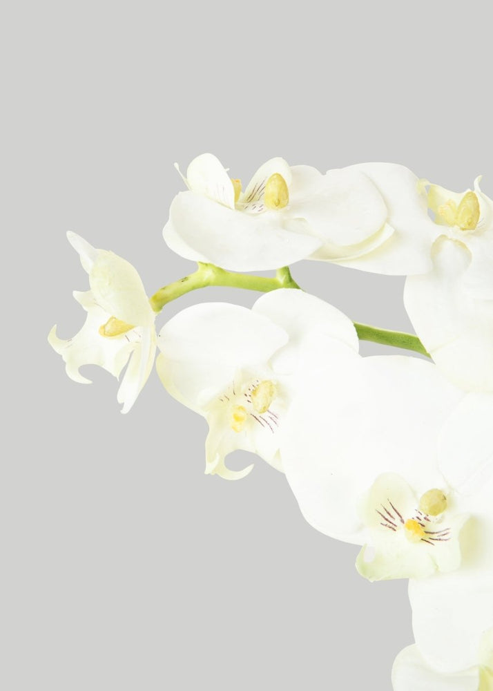 
                      
                        Afloral White Cream Artificial Phalaenopsis Orchids - 39" - lily & onyx
                      
                    