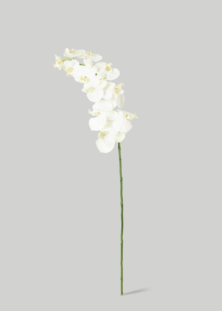 Afloral White Cream Artificial Phalaenopsis Orchids - 39" - lily & onyx