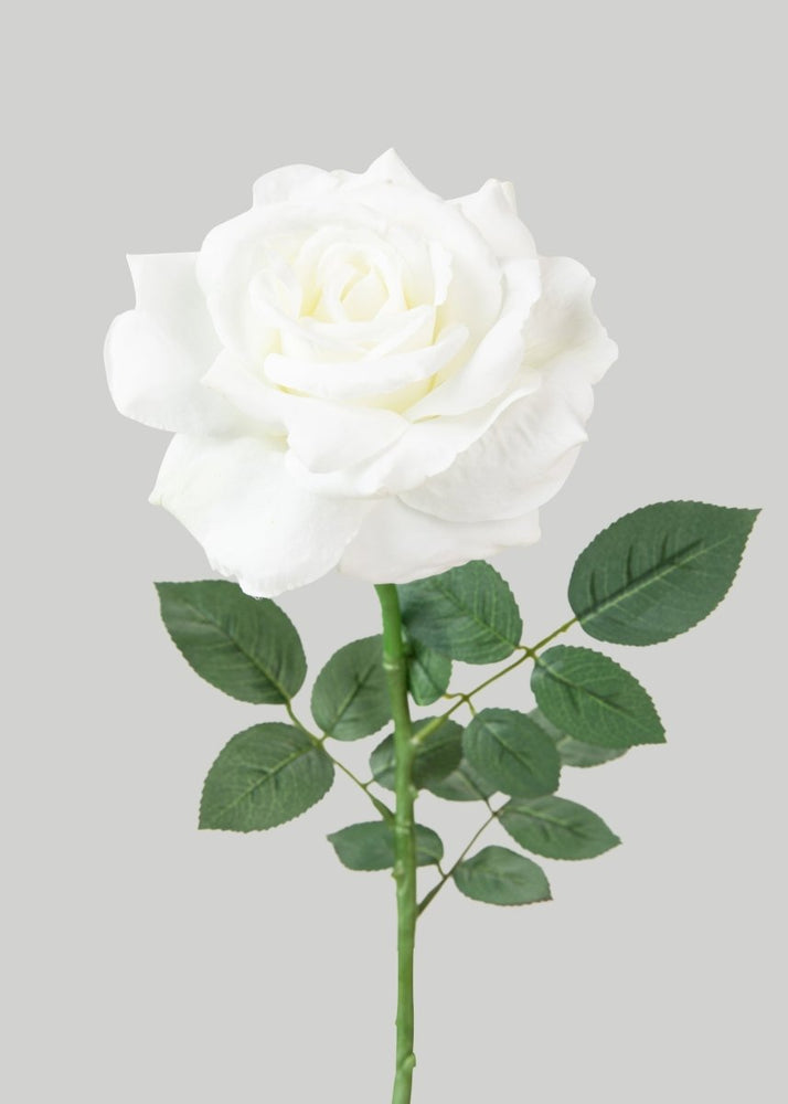 Afloral White Diana Rose Faux Flower - 26" - lily & onyx