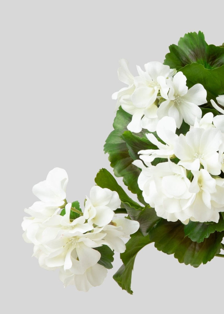 
                      
                        Afloral White UV Resistant Indoor/Outdoor Natural Touch Geranium Bush - 17" - lily & onyx
                      
                    
