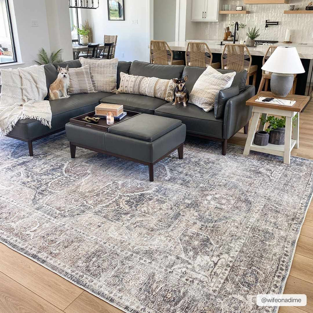 
                      
                        Mignon Washable Area Rug
                      
                    