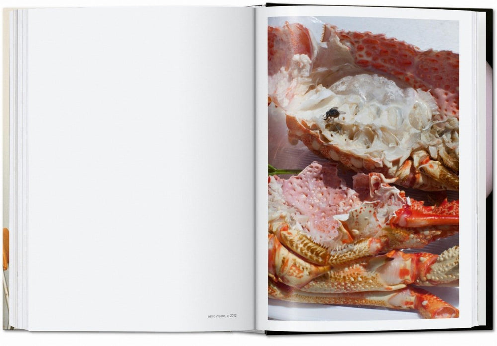 
                      
                        TASCHEN Wolfgang Tillmans. four books. 40th Ed. (English) - lily & onyx
                      
                    
