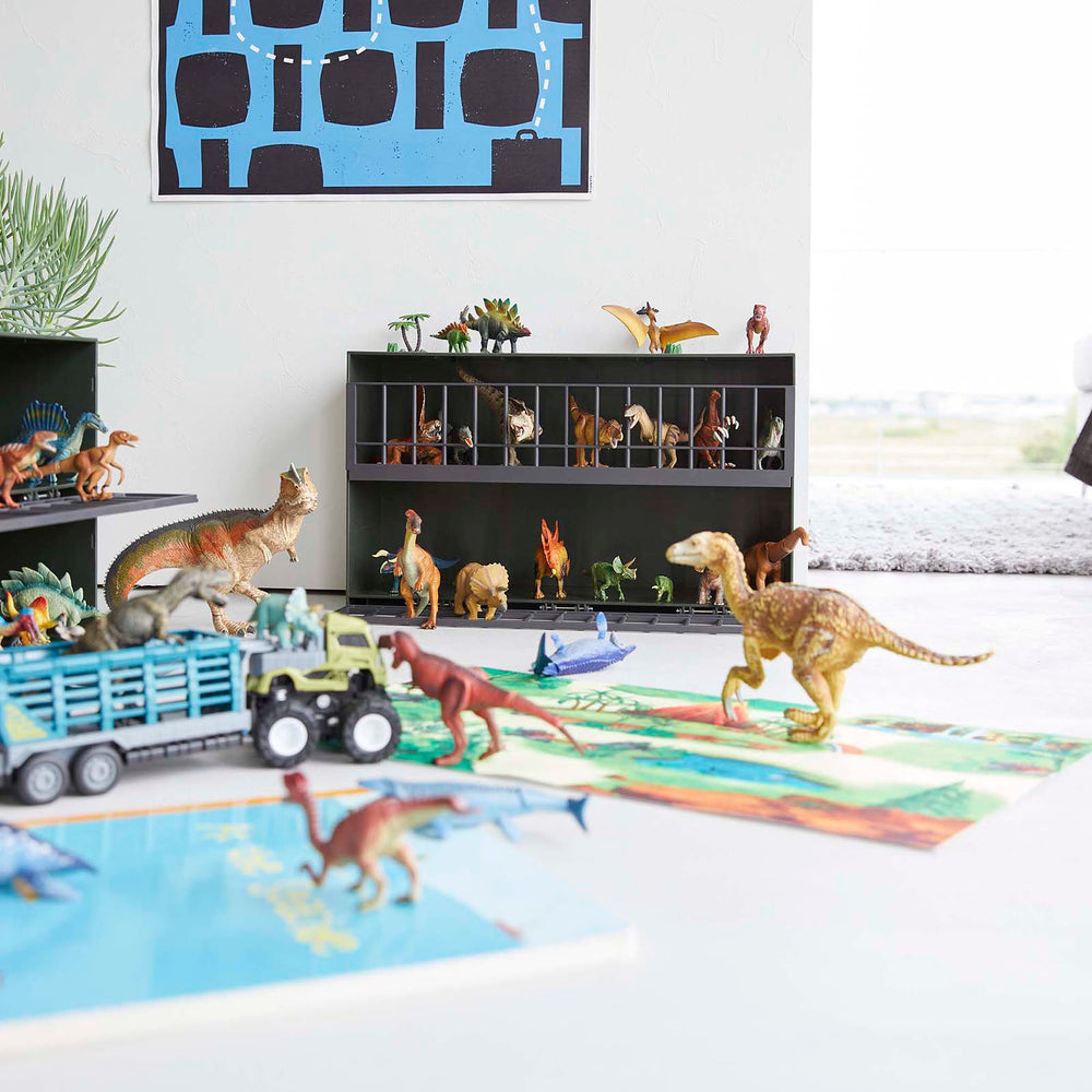 
                      
                        Toy Display Case
                      
                    