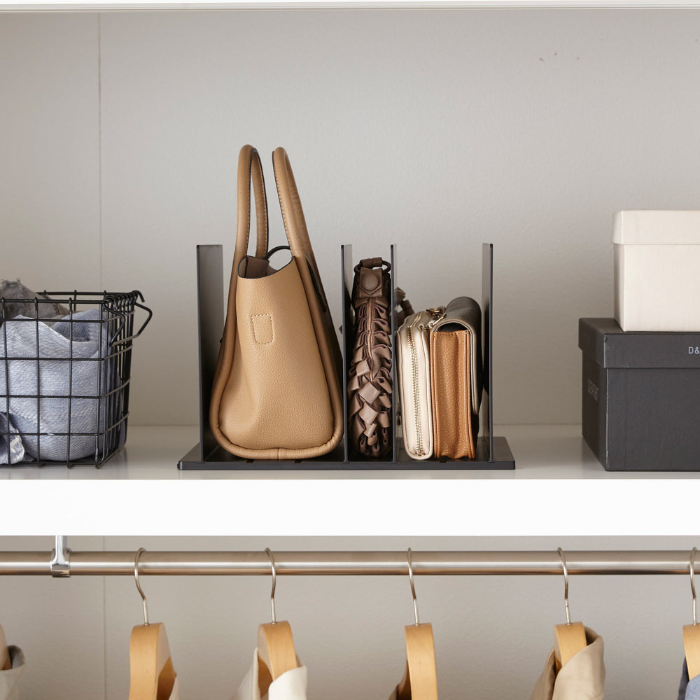 
                      
                        Handbag Organizer, Set of 2
                      
                    