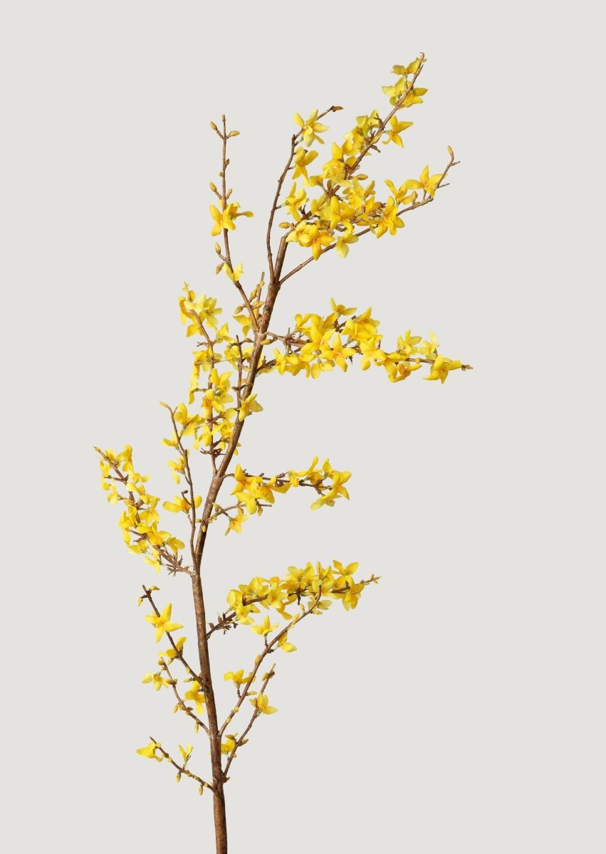 Afloral Yellow Faux Spring Forsythia Branch, 50" - lily & onyx