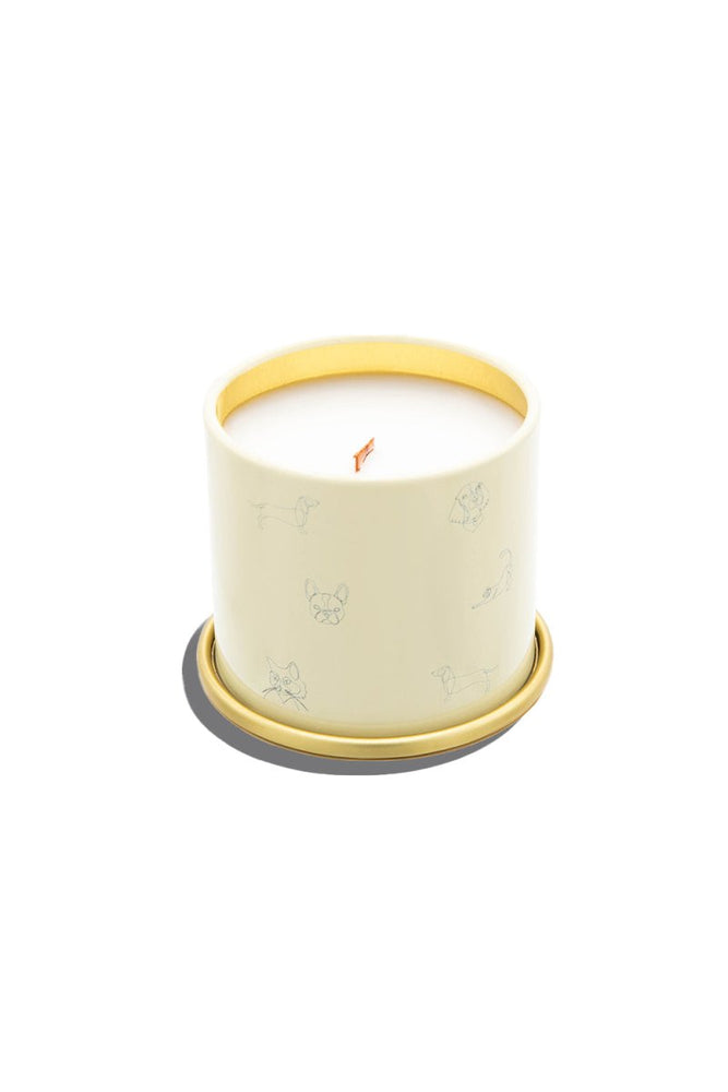 
                      
                        Companion Candles You Got This! // Citrus & Tropical Fruits - lily & onyx
                      
                    
