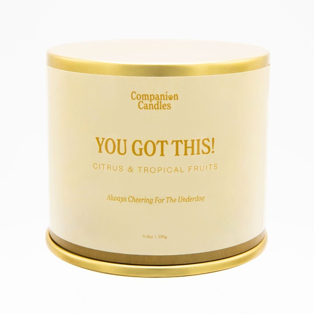 Companion Candles You Got This! // Citrus & Tropical Fruits - lily & onyx