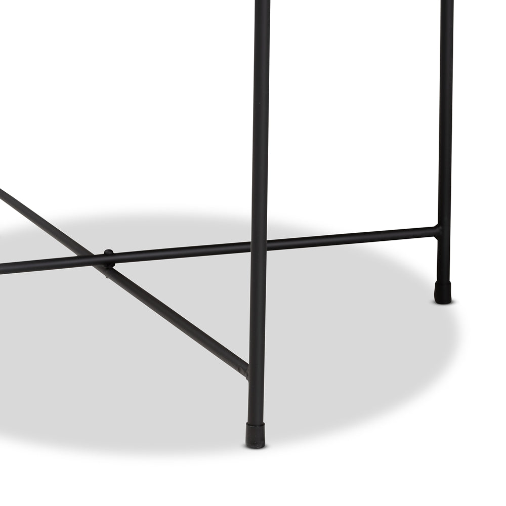 Baxton Studio Ivana Modern And Contemporary Black Finished Metal Plant Stand - lily & onyx