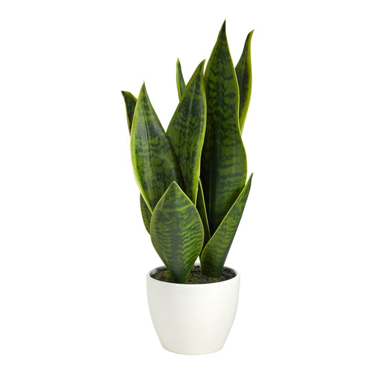 Nearly Natural 16” Sansevieria Artificial Plant - lily & onyx