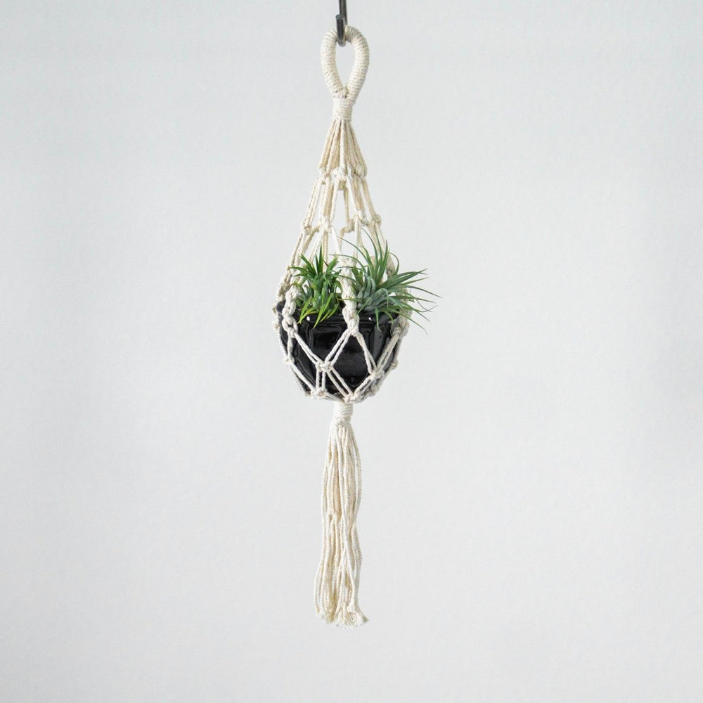 
                      
                        Soul of the Party 18" Macrame Mini Plant Hanger - lily & onyx
                      
                    