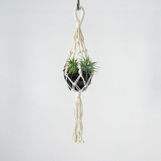 Load image into Gallery viewer, Soul of the Party 18&amp;quot; Macrame Mini Plant Hanger - lily &amp;amp; onyx
