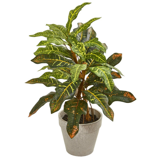 Nearly Natural 2' Croton Artificial Plant - lily & onyx