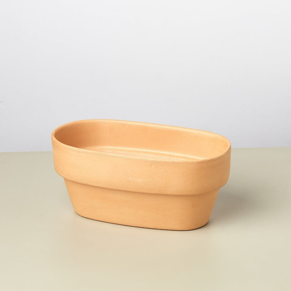 
                      
                        lily & onyx 2-Plant Terra Cotta Planter, 7 Inch - lily & onyx
                      
                    