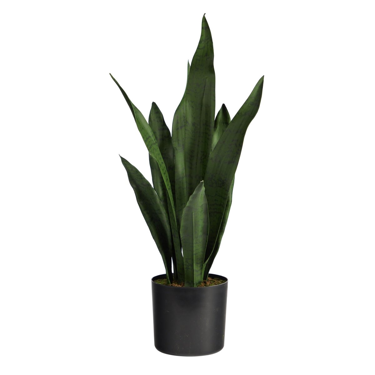 Nearly Natural 22” Sansevieria Artificial Plant - lily & onyx