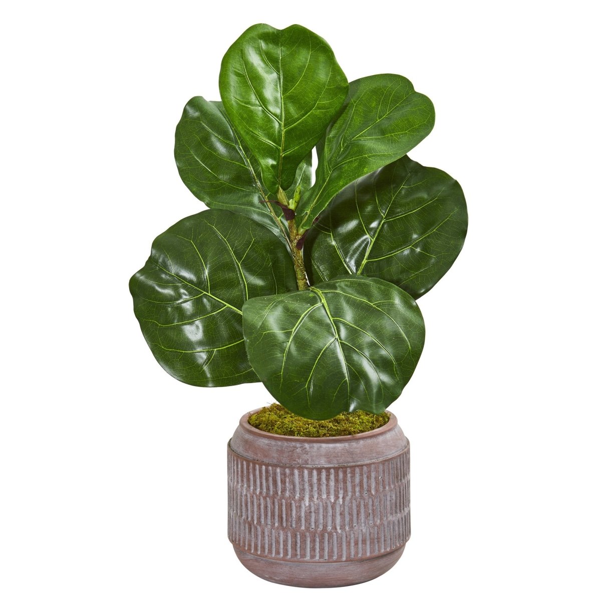 Nearly Natural 23" Fiddle Leaf Artificial Plant In Stoneware Planter - lily & onyx