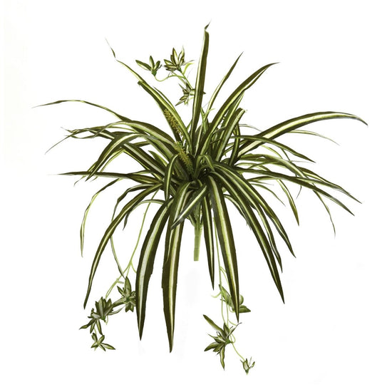 Nearly Natural 23" Spider Plant Bush, Set Of 4 - lily & onyx