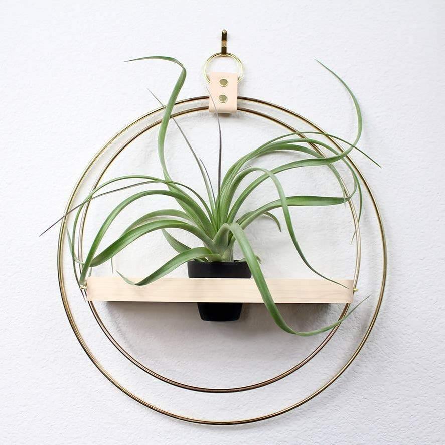 Braid & Wood Design Studio Hanging Ring Plant Shelf - lily & onyx