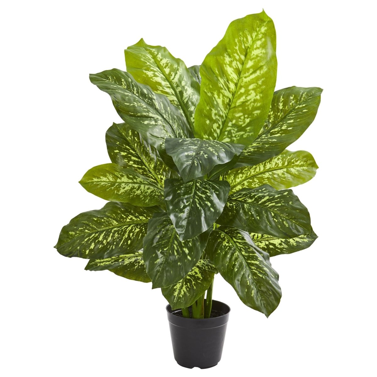 Nearly Natural 34” Dieffenbachia Artificial Plant - lily & onyx