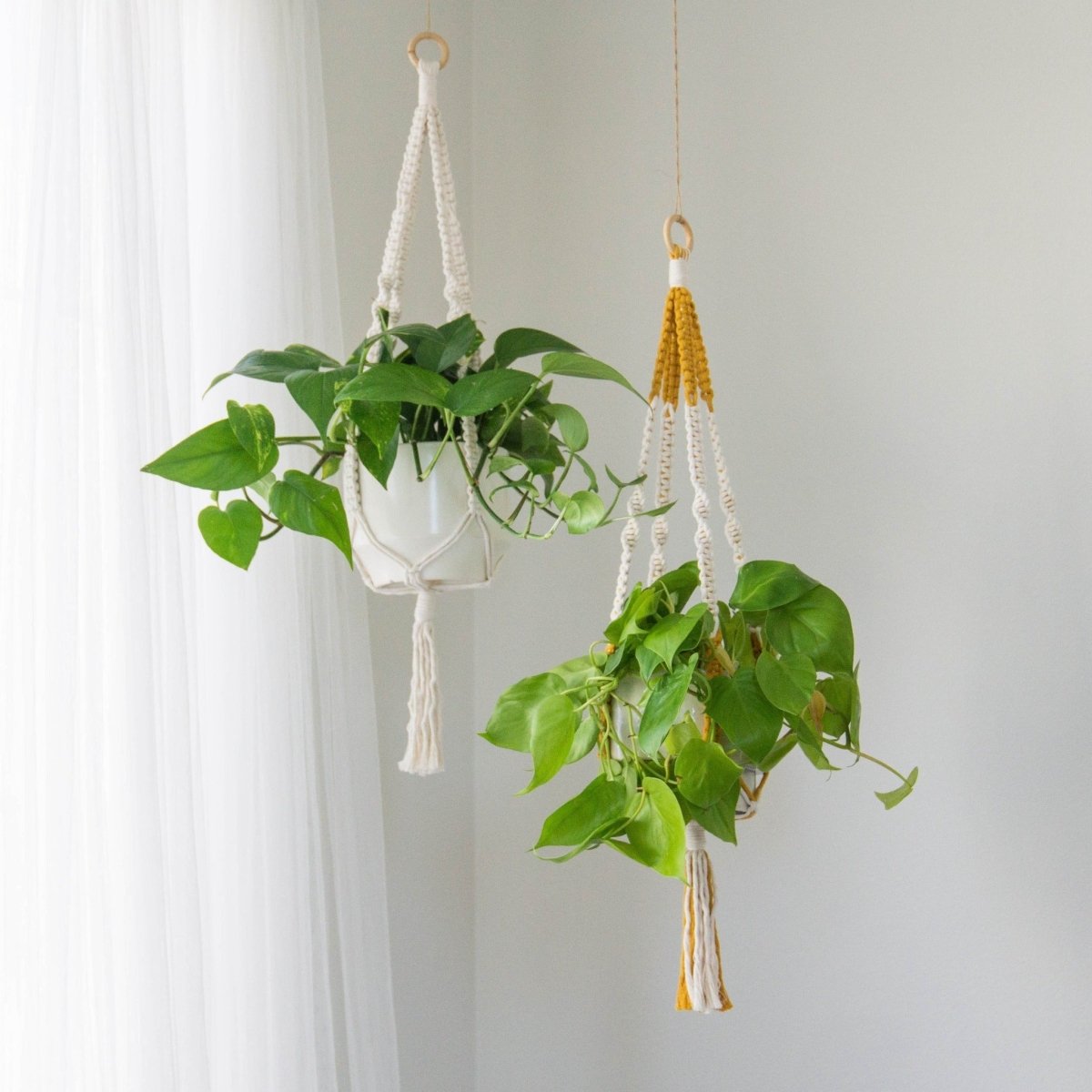 Load image into Gallery viewer, I Would Rather Knot 36” Macrame Plant Hanger - lily &amp;amp; onyx
