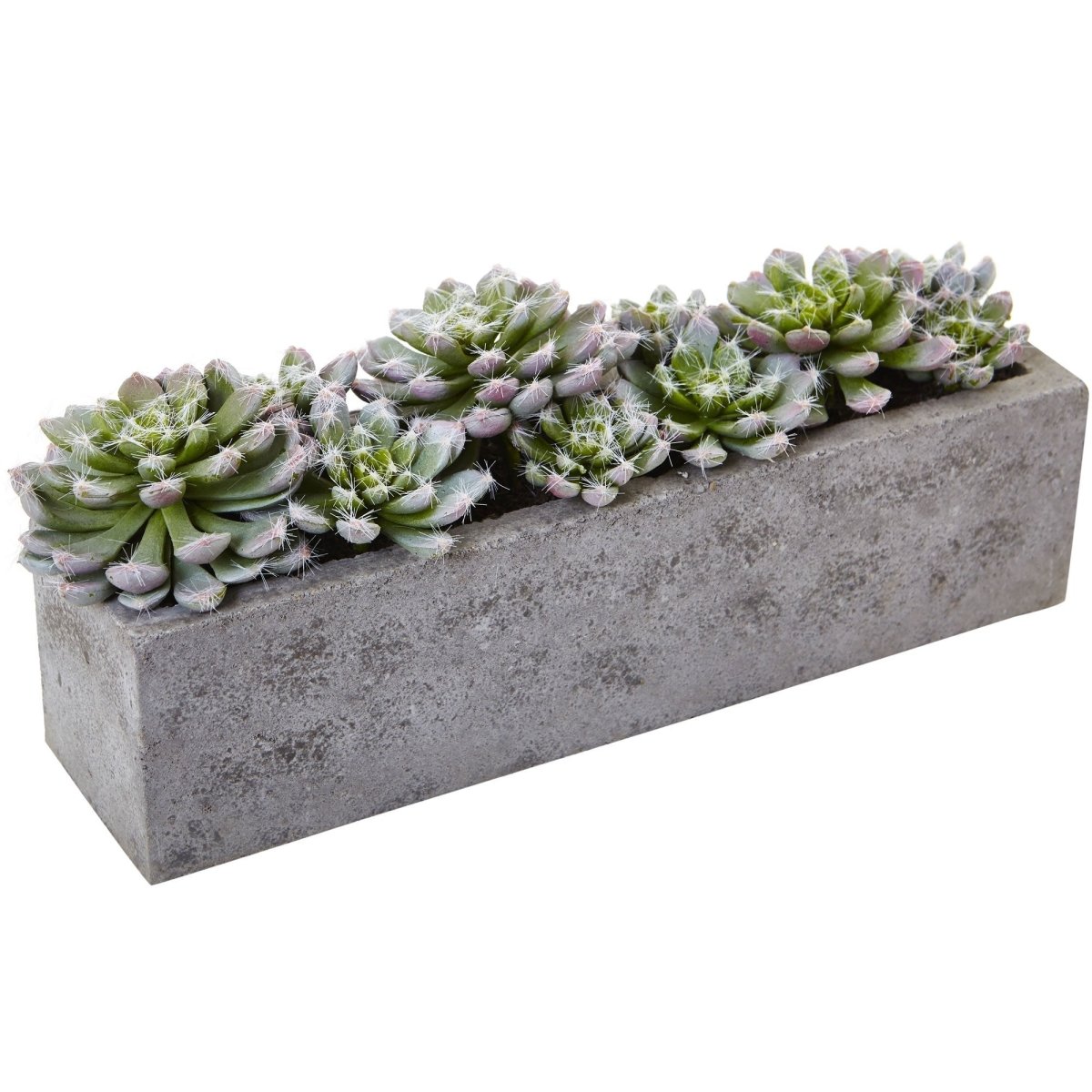 Load image into Gallery viewer, Nearly Natural 5.5” Succulent Garden With Textured Concrete Planter - lily &amp;amp; onyx
