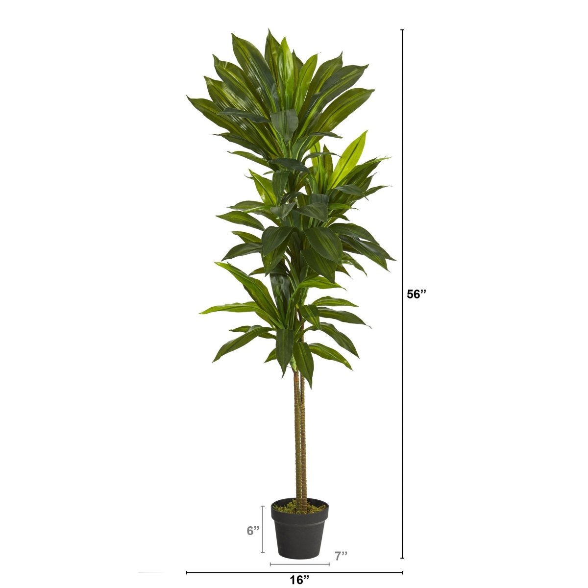 Nearly Natural 56” Dracaena Artificial Plant - lily & onyx