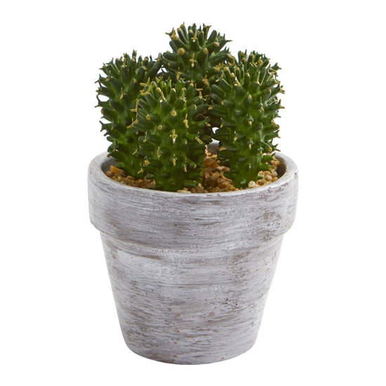 Nearly Natural 8” Cactus Artificial Plant, Set Of 3 - lily & onyx