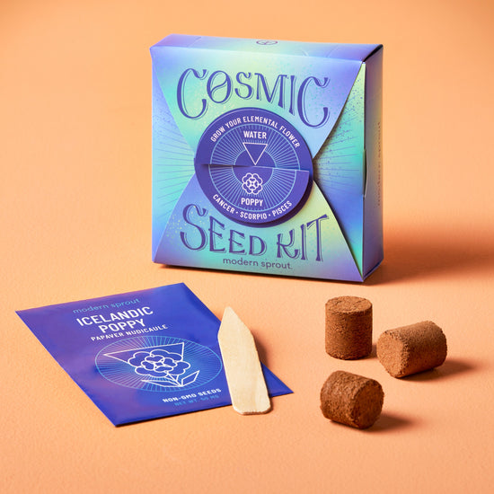 Modern Sprout Cosmic Seed Kits - lily & onyx