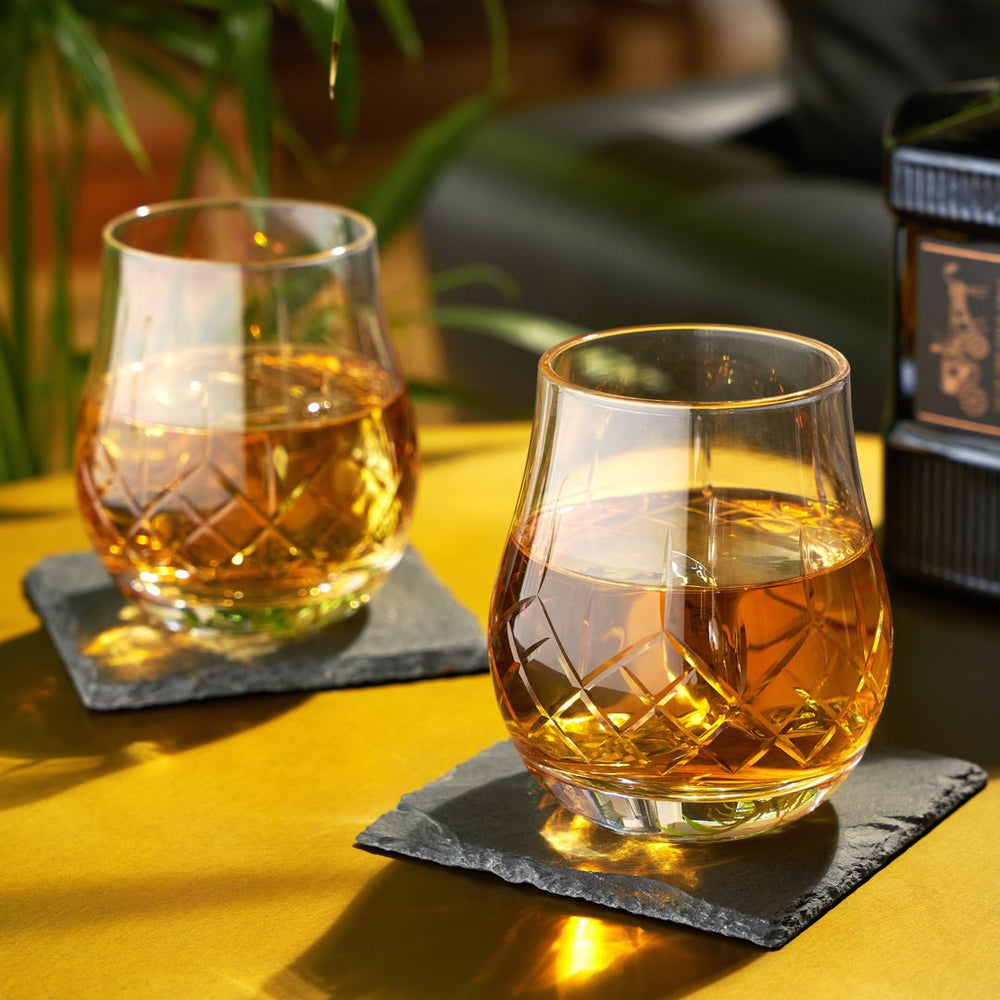 Viski Admiral Heavyweight Bourbon Glasses - lily & onyx