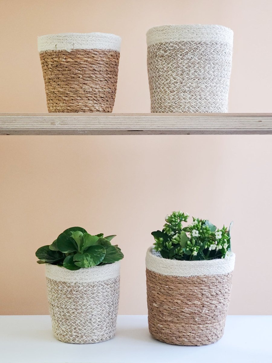 KORISSA Agora Plant Basket, White - lily & onyx