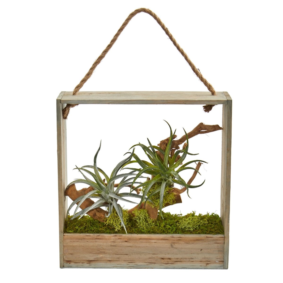 Load image into Gallery viewer, Nearly Natural Air Plant Artificial Succulent In Decorative Hanging Frame - lily &amp;amp; onyx
