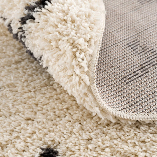 Hauteloom Alstead Shag Area Rug - lily & onyx