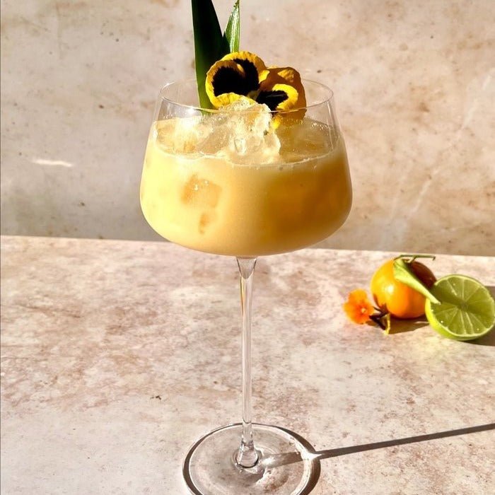 
                      
                        Viski Angled Crystal Amaro Spritz Glasses - lily & onyx
                      
                    