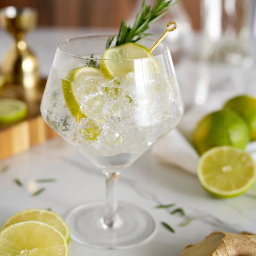 Viski Angled Crystal Gin & Tonic Glasses - lily & onyx