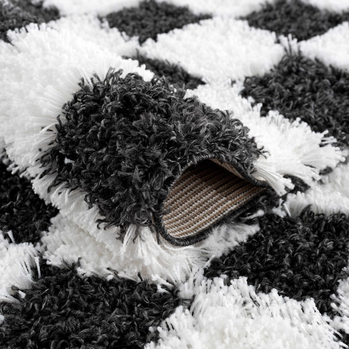 Hauteloom Atira Black & White Checkered Area Rug - lily & onyx