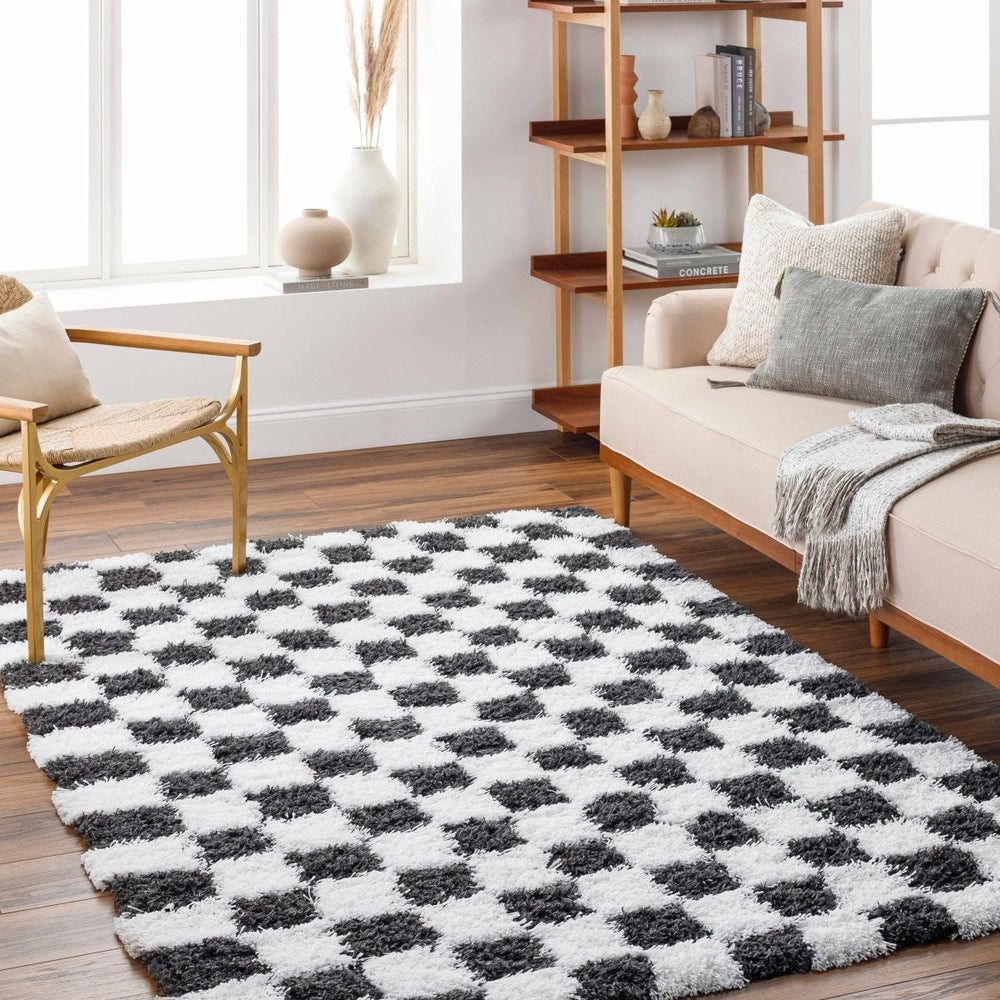 Hauteloom Atira Black & White Checkered Area Rug - lily & onyx