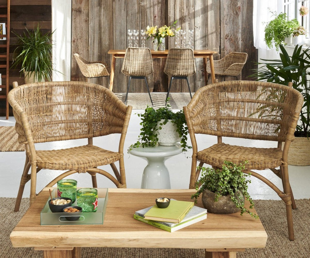 
                      
                        texxture Avello Natural Rattan Arm Chair - lily & onyx
                      
                    