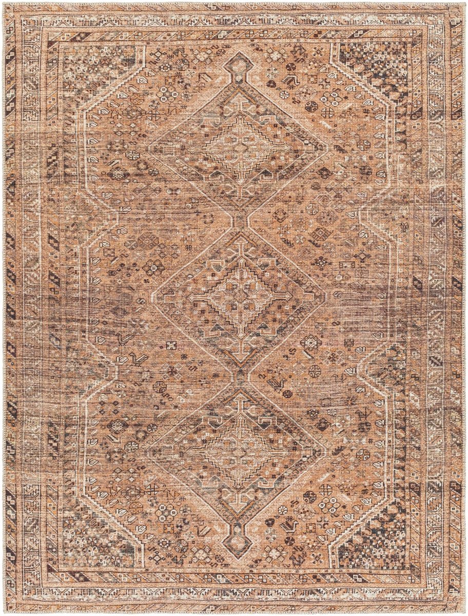 Hauteloom Barny Brown Washable Rug - lily & onyx