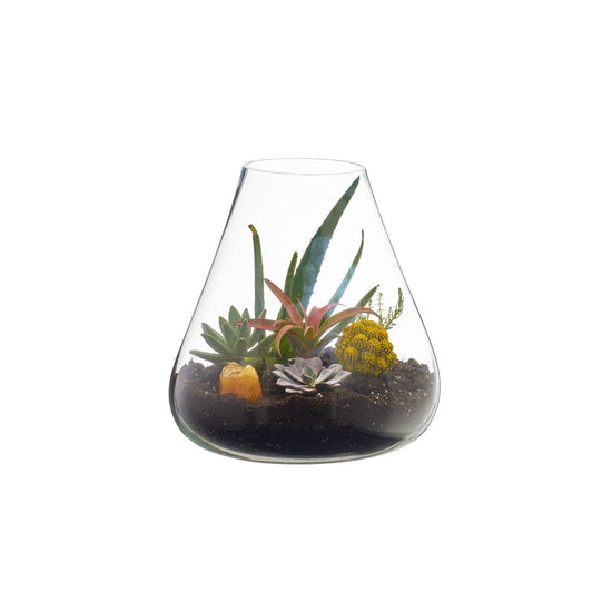 texxture Boboli Glass Terrarium - lily & onyx