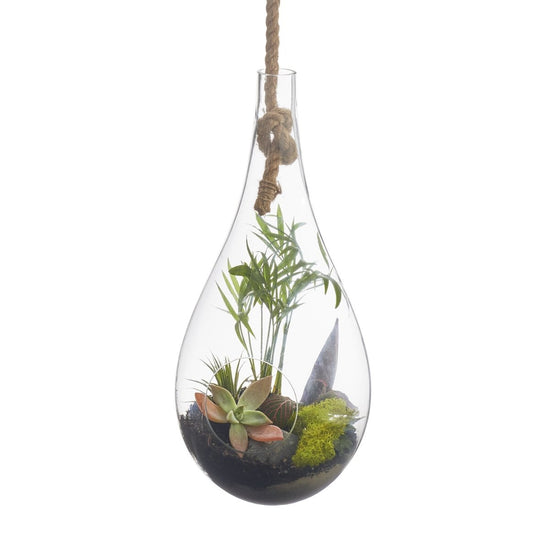 texxture Boboli Hanging Terrarium - lily & onyx