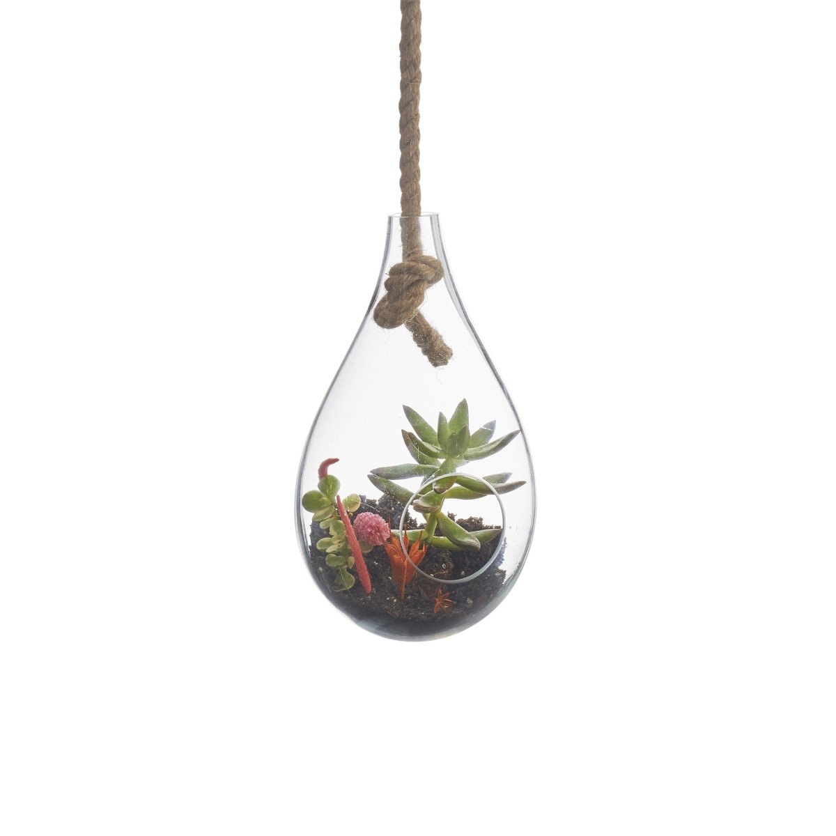 texxture Boboli Hanging Terrarium - lily & onyx