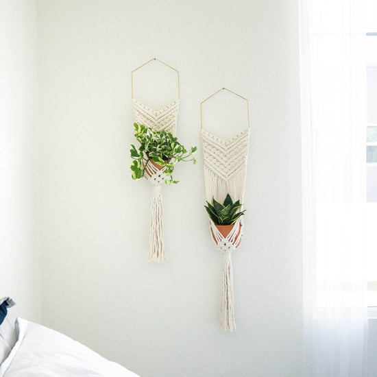 I Would Rather Knot Brass Hex Hanging Macrame Planter - lily & onyx