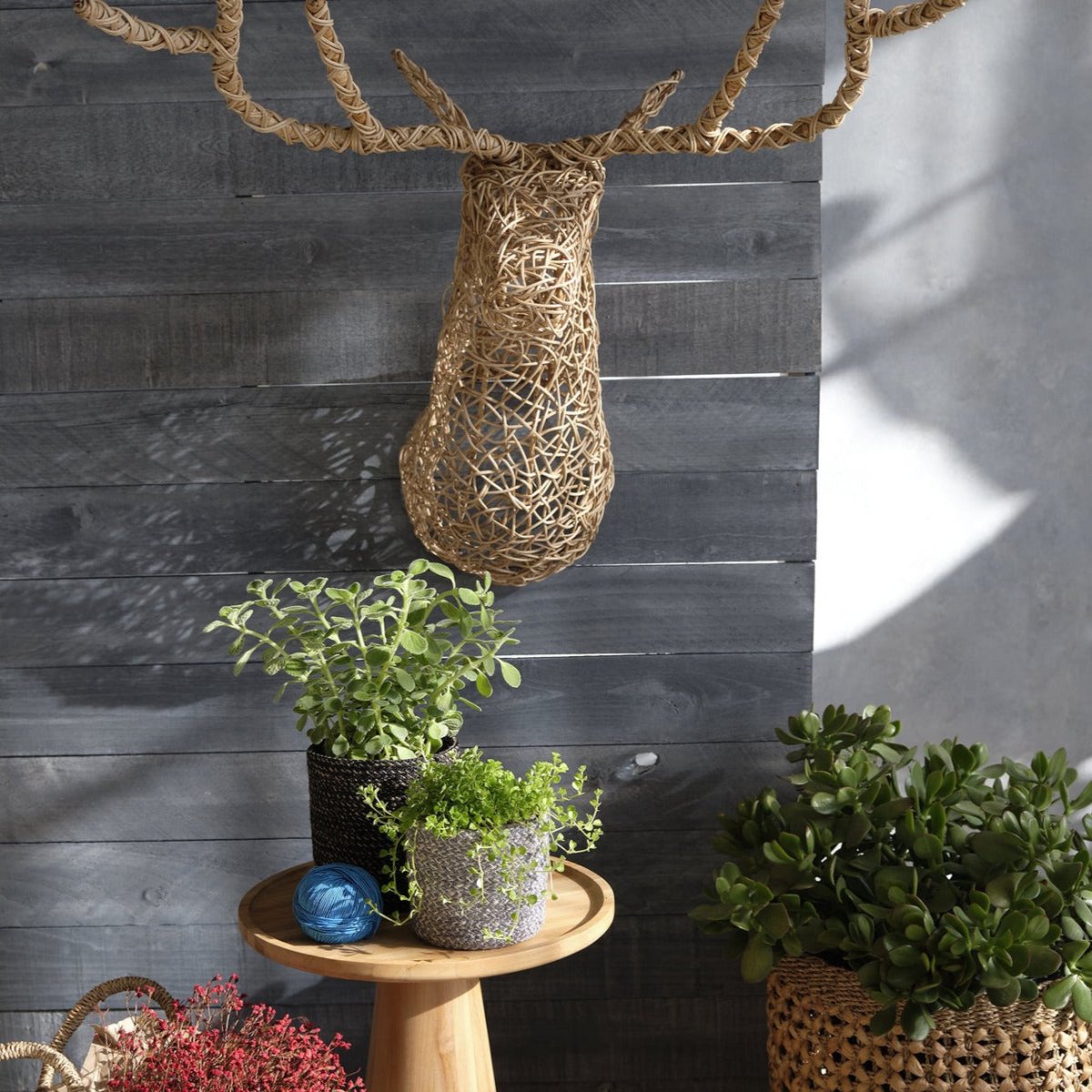 Load image into Gallery viewer, texxture Bucky™ Wall Hanging Rattan Sculpture - lily &amp;amp; onyx
