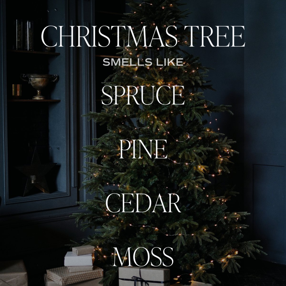 Sweet Water Decor Christmas Tree Soy Candle - Black Stoneware Jar - 12 oz - lily & onyx