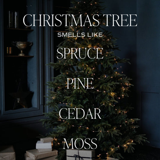 Sweet Water Decor Christmas Tree Soy Candle - Cream Stoneware Jar - 12 oz - lily & onyx