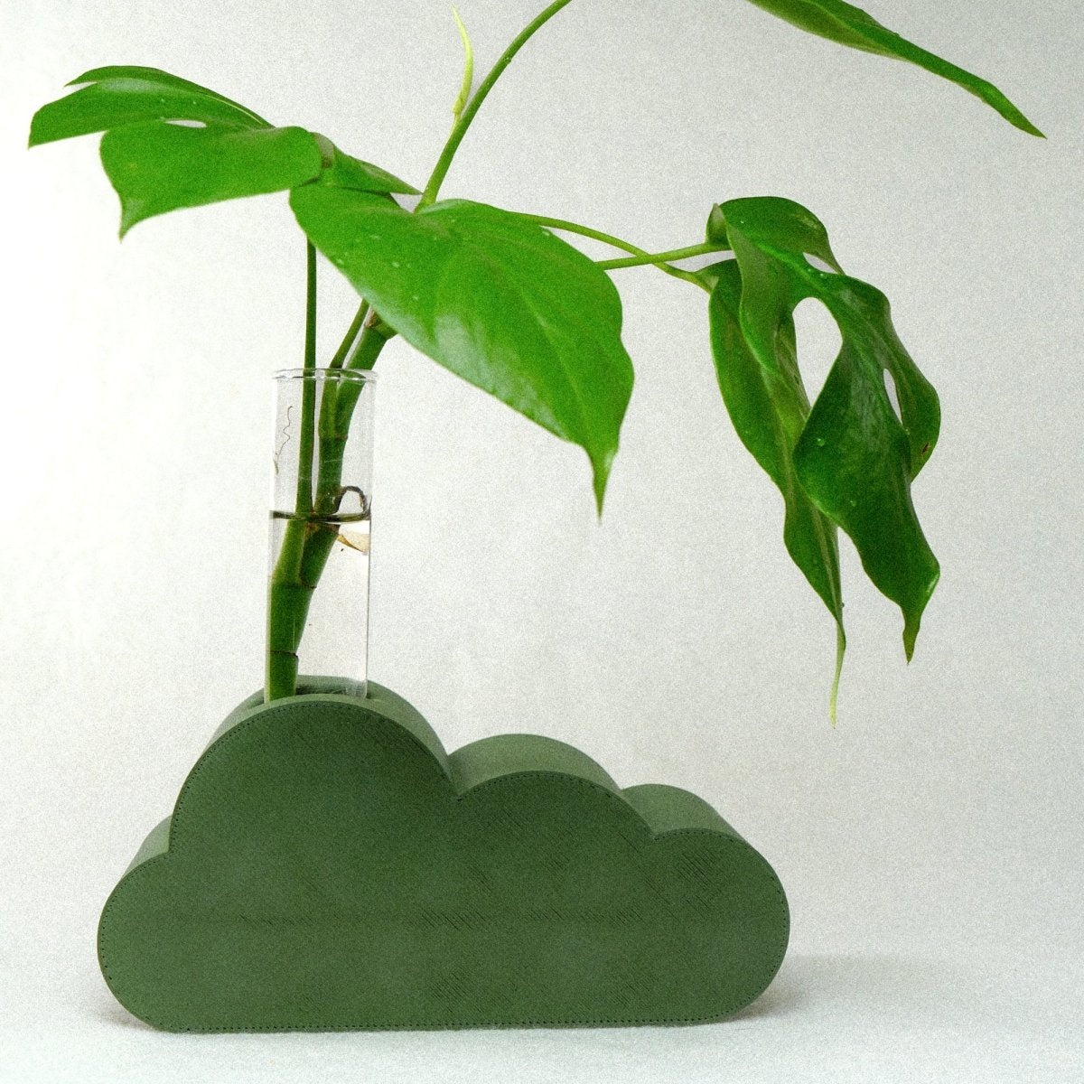 Rosebud HomeGoods Cloud Propagation Station - lily & onyx