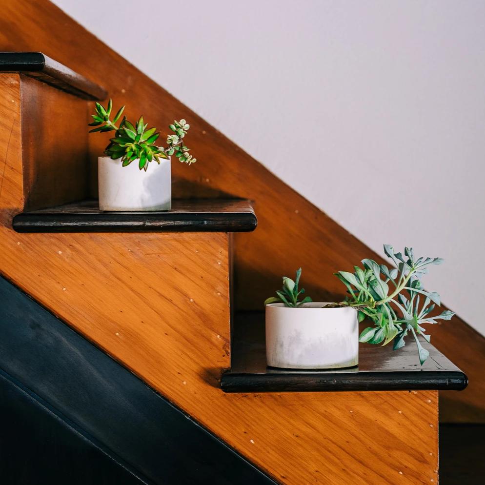 
                      
                        Pretti.Cool Concrete Vessels, Set of 2 - lily & onyx
                      
                    